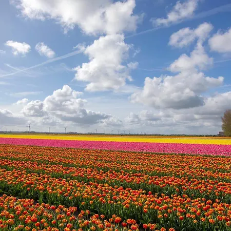 Boerenslag 18 Holiday home Sint Maartensvlotbrug